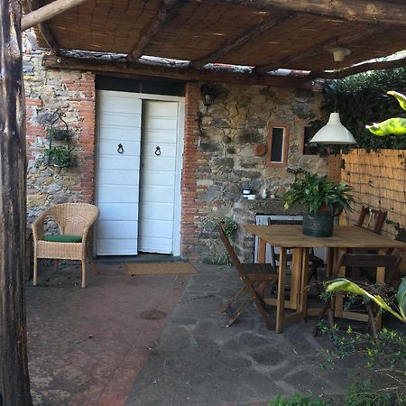 Casa Bouganville Massa Macinaia Luaran gambar